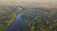 Países da América do Sul querem criar corredor ecológico maior que o Alasca