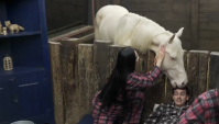 "A Fazenda": Cavalo morde a cabeça de Dudu Camargo; assista