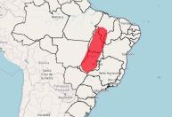 Área central do Brasil tem alerta vermelho de perigo para clima de deserto