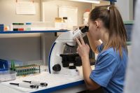 Biologia: veja os temas mais recorrentes no vestibular da Unesp