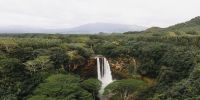 Análise: Fogo e El Niño ameaçam a fábrica de chuva amazônica
