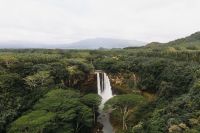 Entenda como os “rios voadores” da Amazônia levam chuvas ao resto do Brasil