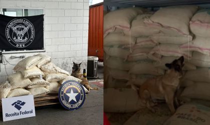 PF apreende meia tonelada de cocaína escondida em carga de café no RJ
