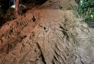 Desaparecidos no PR: munições são encontradas em propriedade alvo de dívida