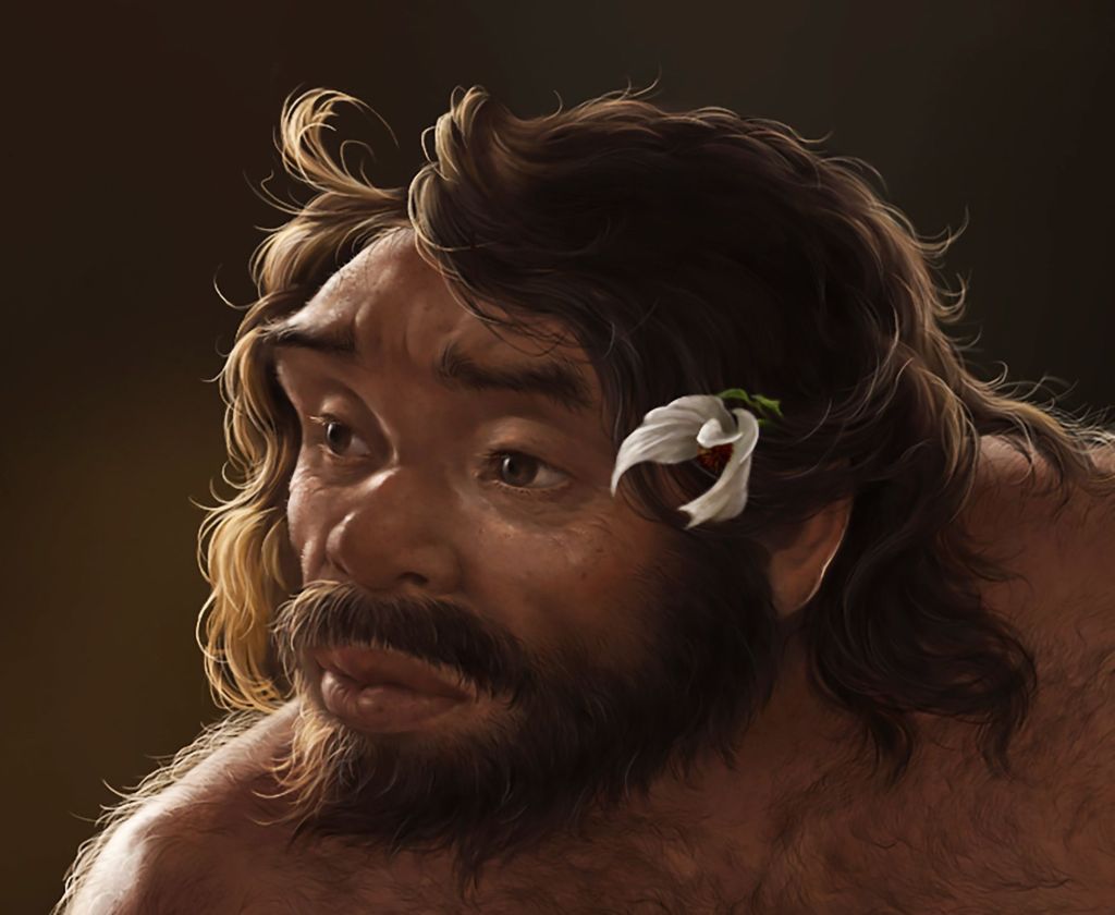 Ilustração de como o homem Yunxian pode ter sido com base na reconstrução do crânio Yunxian 2