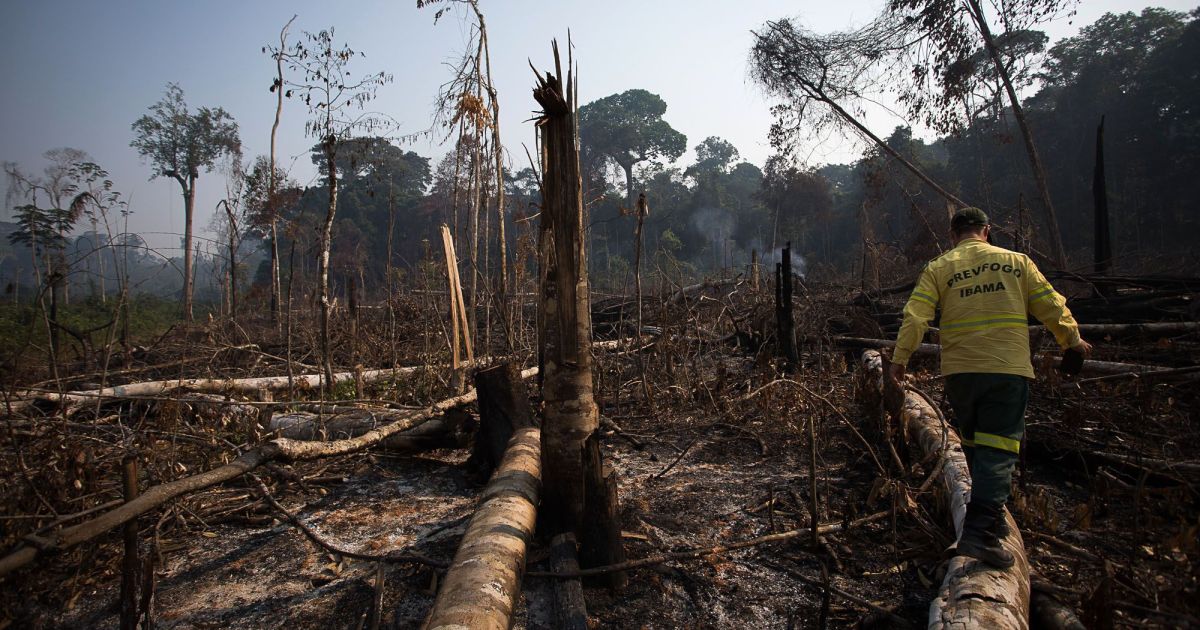 Em fevereiro, Amazônia registrou queda de 42% em áreas desmatadas