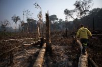 Brasil e Argentina enfrentam desafios na transição para regulamentação ambiental europeia de soja