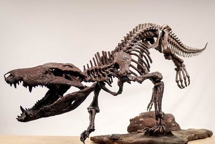 Uma versão impressa em 3D do esqueleto do K. atrox encontrado na Patagônia, no sul da Argentina