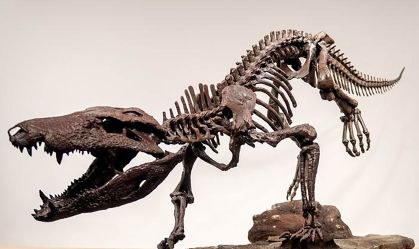 Fóssil revela "crocodilo gigante" que caçava dinossauros na Patagônia