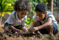 Paraná lidera ranking nacional de áreas verdes e infraestrutura nas escolas