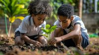 Paraná lidera ranking nacional de áreas verdes e infraestrutura nas escolas