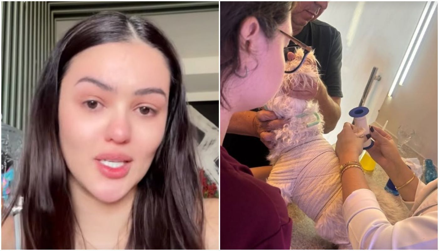 Ex-BBB se desespera após cachorro ser atacado: