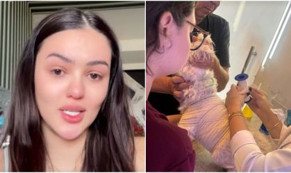 Ex-BBB se desespera após cachorro ser atacado: "Pior coisa que vi"