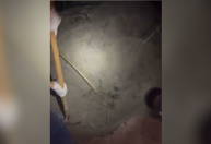 Desaparecidos no PR: veja imagens do local onde corpos foram encontrados