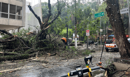 Chuva e ventos em SP: árvores caem e interditam rua na região da Paulista
