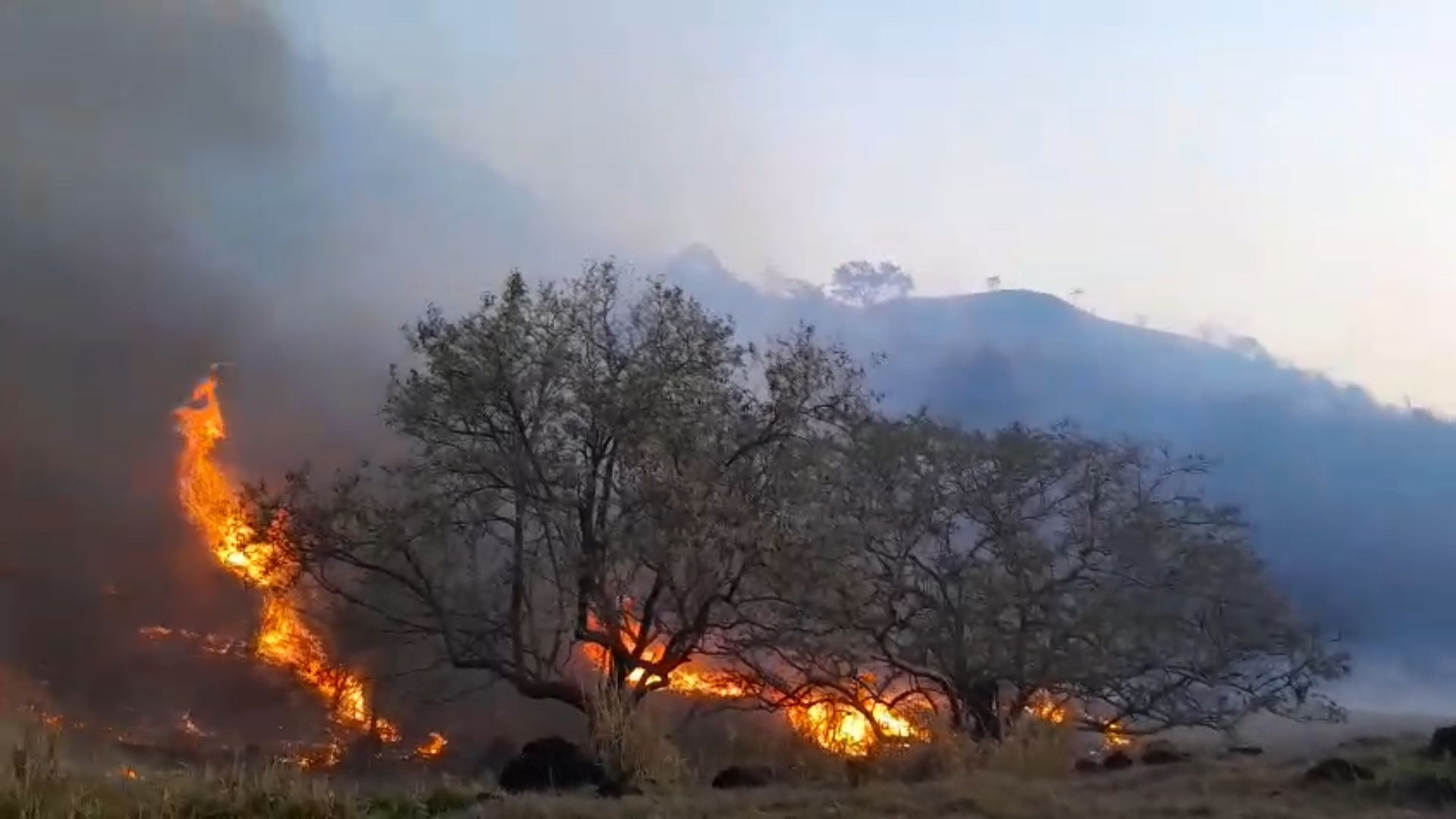 SP: Queimadas continuam em meio a temperaturas altas neste sábado (20)