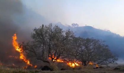 SP: Queimadas continuam em meio a temperaturas altas neste sábado (20)
