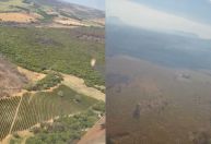 Risco extremo de queimadas mobiliza gabinete de crise em SP