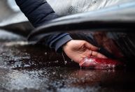 Veja as imagens dos vencedores do concurso Fotógrafo Oceânico do Ano