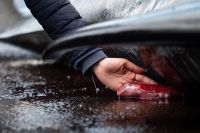 Veja as imagens dos vencedores do concurso Fotógrafo Oceânico do Ano
