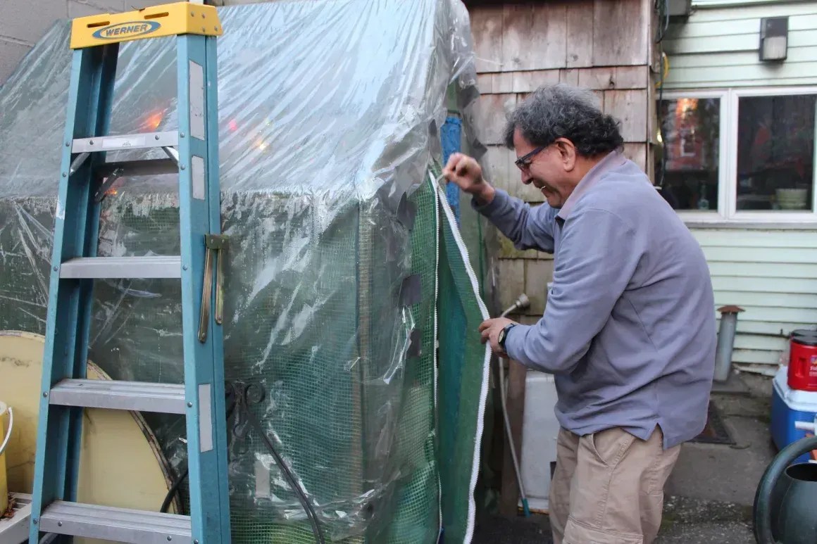 Reza Farzan abre a estufa em seu quintal no Brooklyn • Rachel Ramirez/CNN