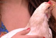 Galinha faz cocô ao vivo e rouba a cena no "É de Casa"