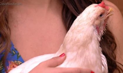 Galinha faz cocô ao vivo e rouba a cena no "É de Casa"