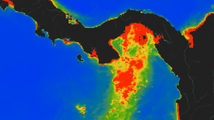 Cientistas detectam acontecimento sem precedentes no Golfo do Panamá