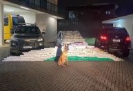 Homem é preso com mais de 200 kg de maconha em rodovia no Paraná