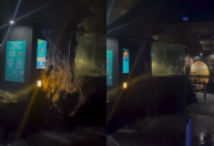 Vídeo: teto desaba após vazamento de aquário no Rio de Janeiro