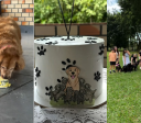 Filhotes de Golden Retriever com Shih Tzu fazem um ano; veja como ficaram