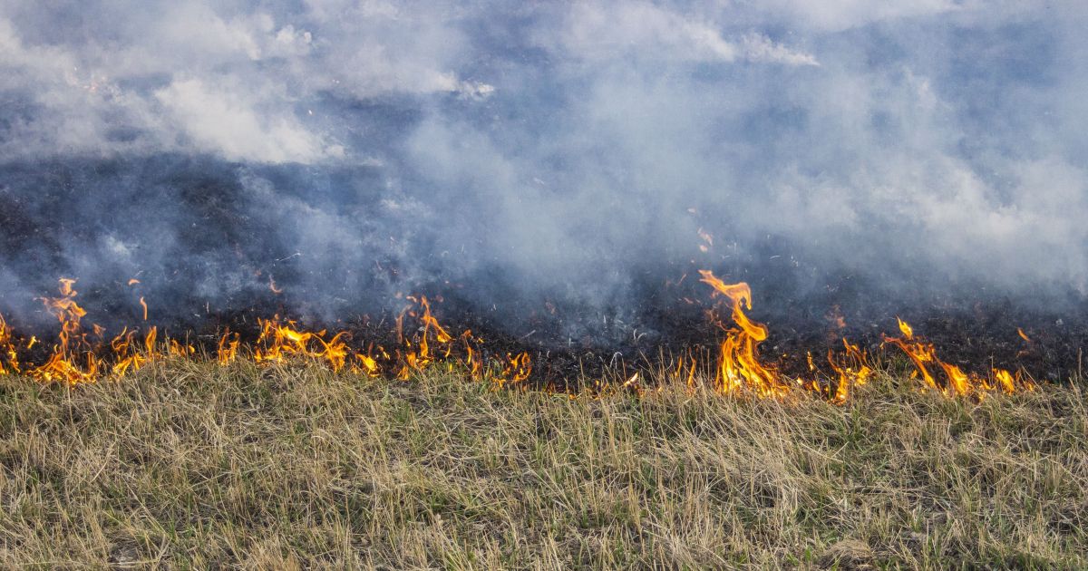 Financiamento climático: o que é, quem paga, e por que importa na COP30