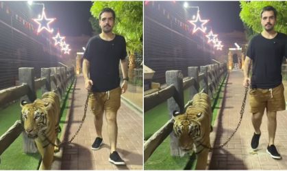 João Silva, filho de Faustão, choca web ao passear com tigre na coleira