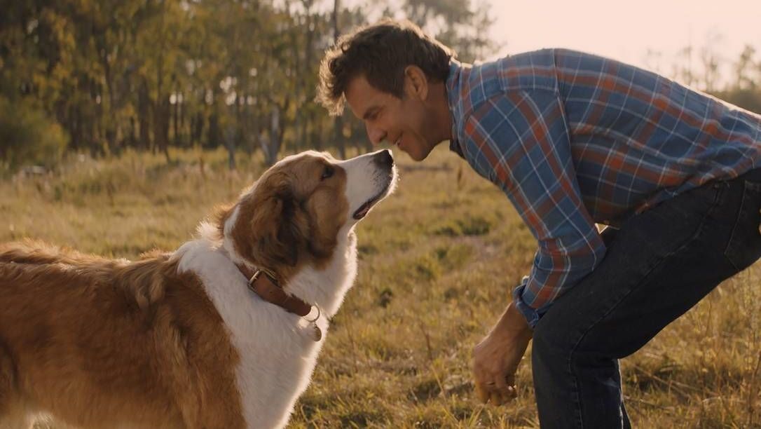 “Juntos para Sempre”: 4 curiosidades do filme que vai te fazer chorar