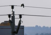 "Gatos" na linha da EDP poderiam abastecer dois municípios de SP pelo mês