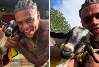 MC Cabelinho adota bode e mostra animal usando roupinha colorida