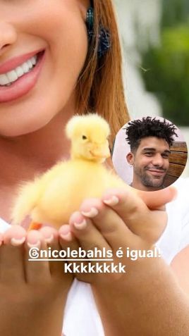 Lucas Leto é homenageado com patinho na fazenda de Nicole Bahls • Reprodução/Instagram