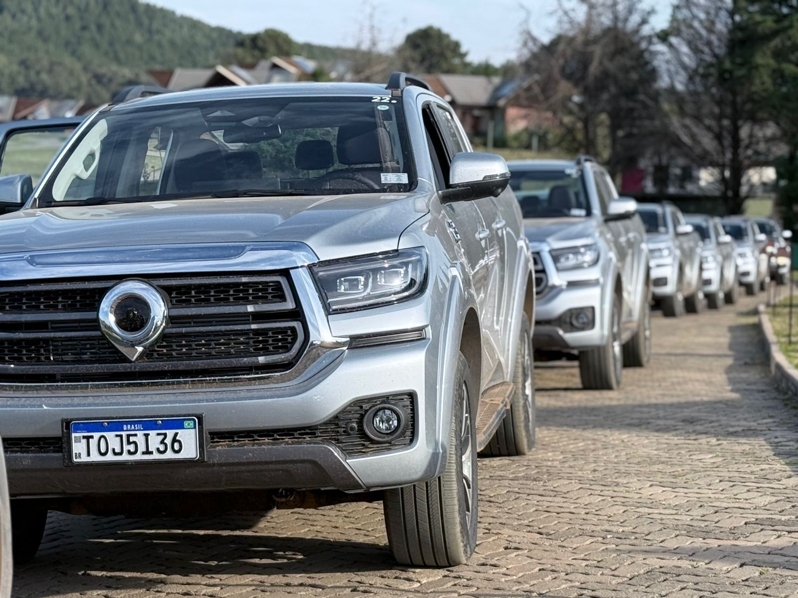 GWM Poer P30