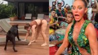 Paolla Oliveira mostra "tropeços da vida" e recebe chuva de elogios