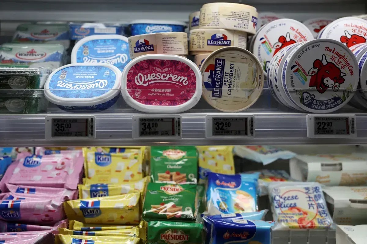 queijos-produtos-a-base-de-leite