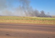São Paulo segue em alerta com avanço de queimadas; tempo muda no domingo