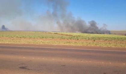 Com tempo seco, São Paulo registra 9 pontos de queimadas pelo estado