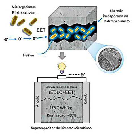 Após 10 mil ciclos de cargas e descargas, o sistema conseguia armazenar 85% da energia original • Qi Luo et al., Cell Reports Physical Science, 2025