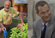 Ex-ator da Globo mostra plantação de maconha em sua casa