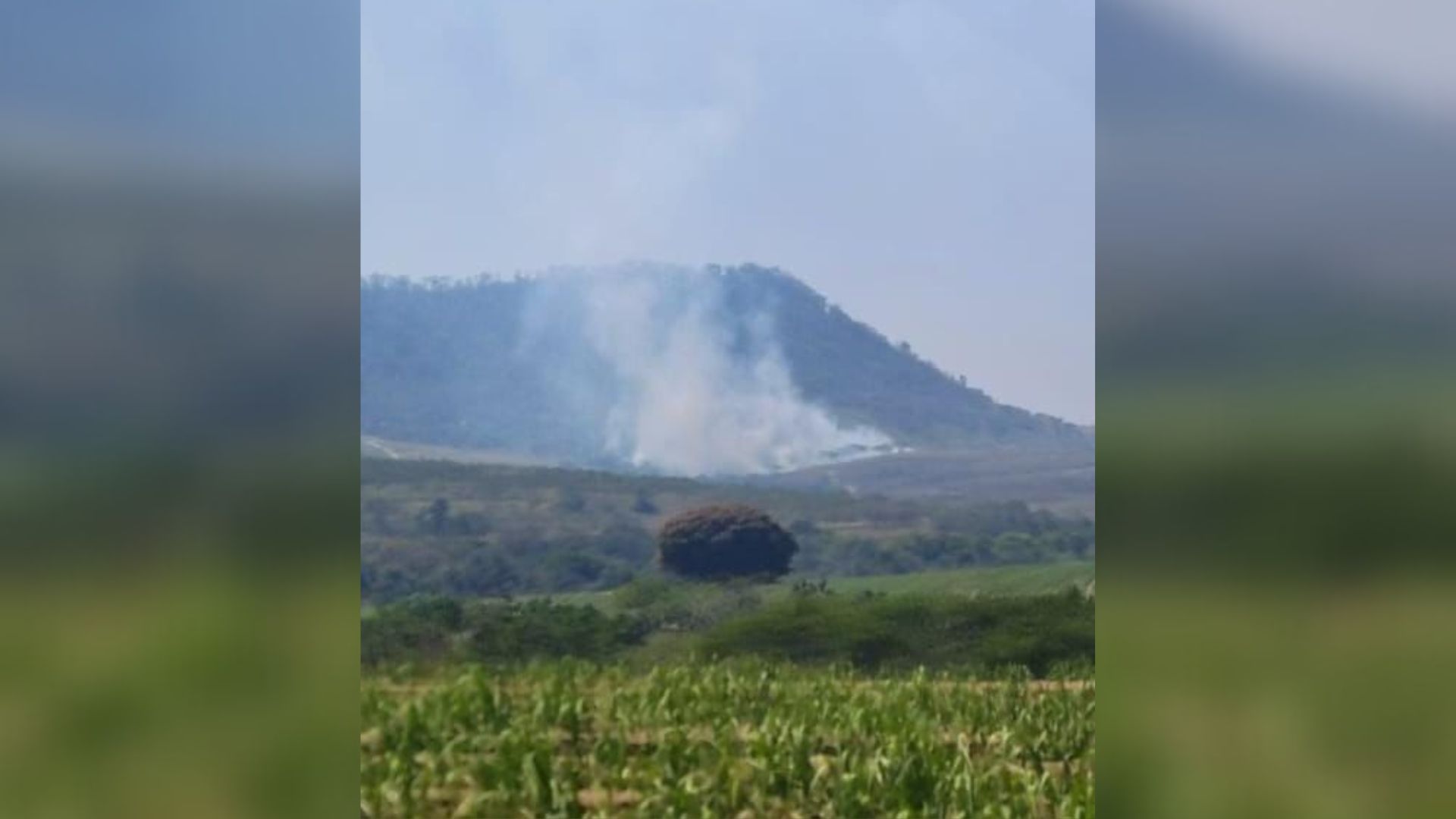 focos de incendio sp segunda (15)