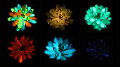 Pesquisadores na China usaram uma nova técnica para criar luminescência, injetando as plantas com nanopartículas