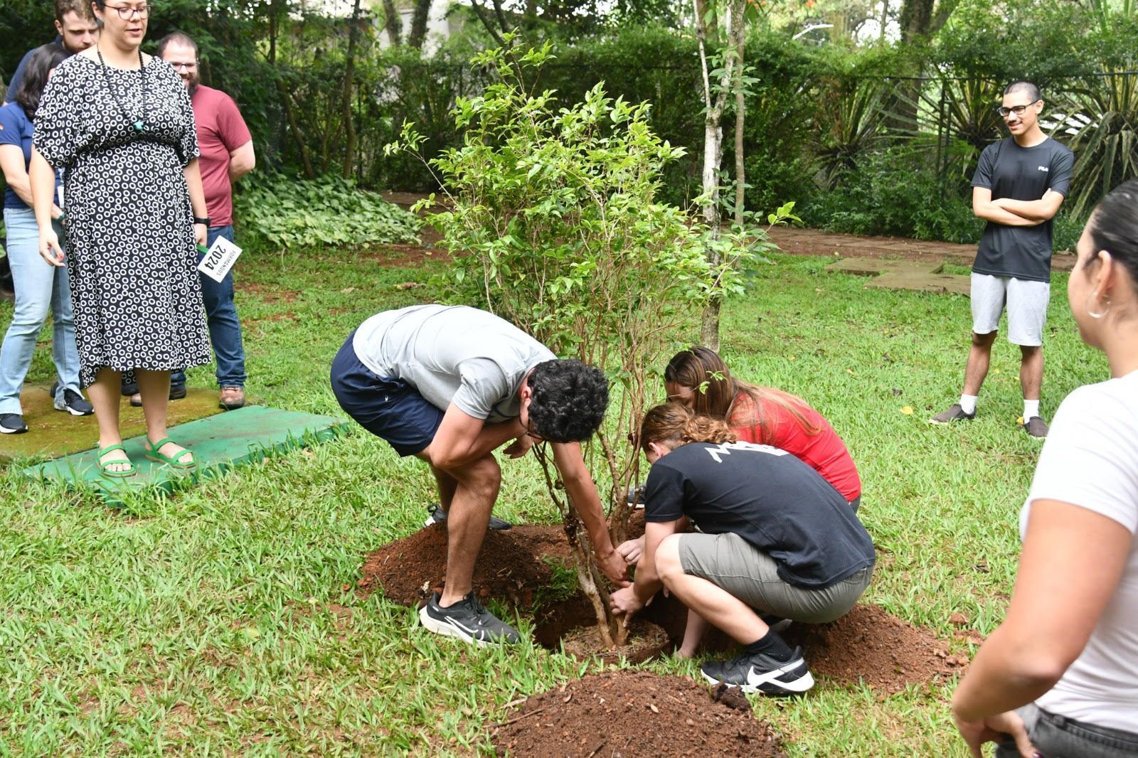Alunos plantam árvore em escola da zona sul de São Paulo • Reprodução