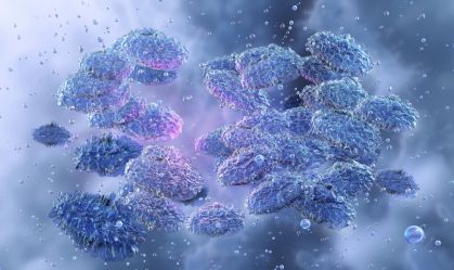 Doenças da Idade Média continuam circulando e fazendo vítimas; saiba mais