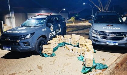 Caminhoneiro é preso com R$ 12 milhões em crack escondido em carga de peixe