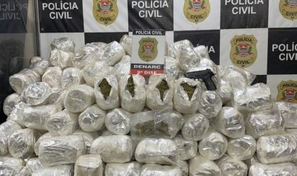 Carga de mais de 130 kg de "super maconha" é apreendida em SP